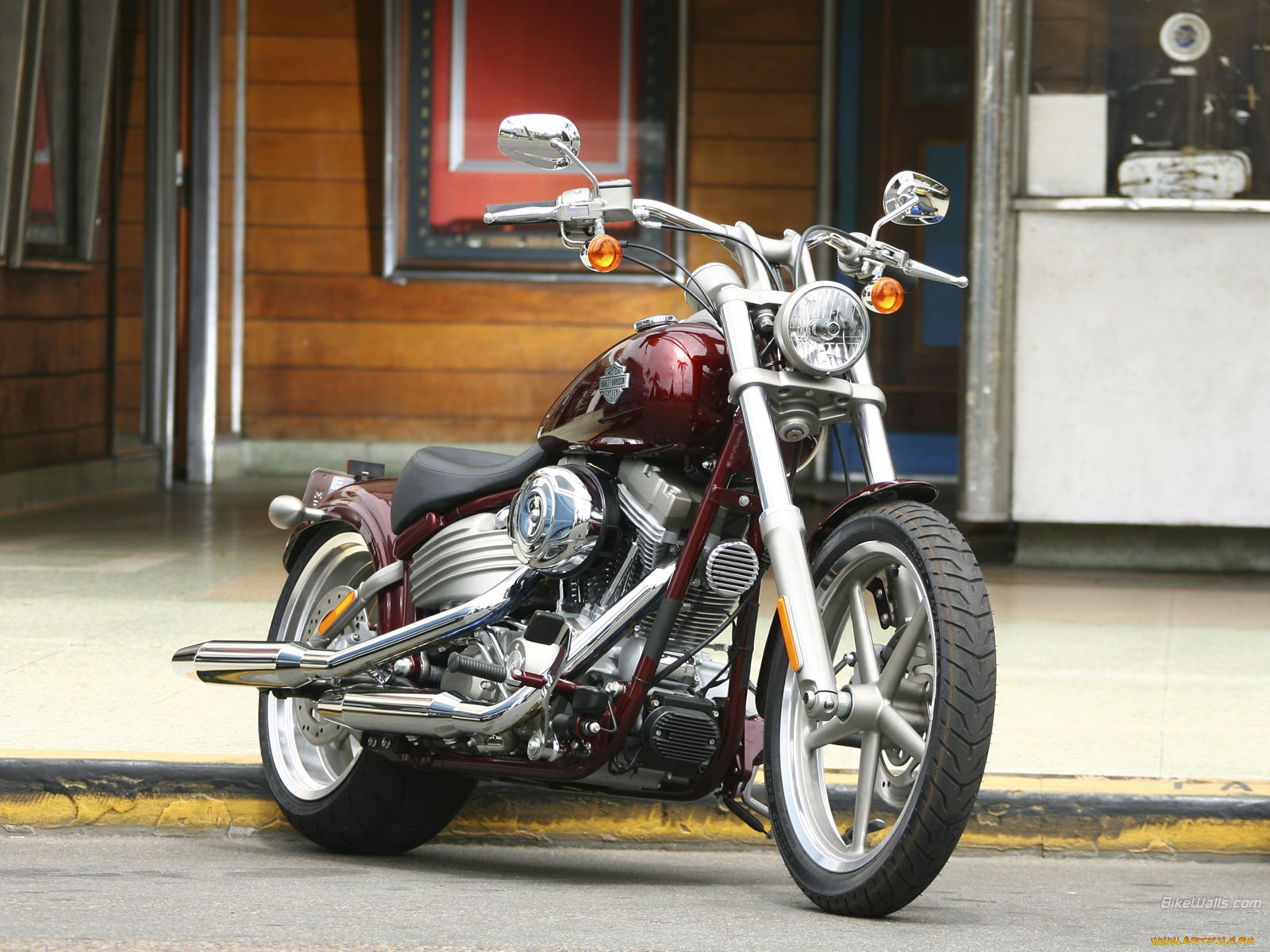 harleydavidson, softail, fxcw, , harley, davidson